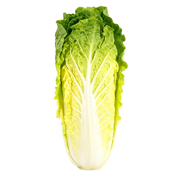 Romaine Lettuce
