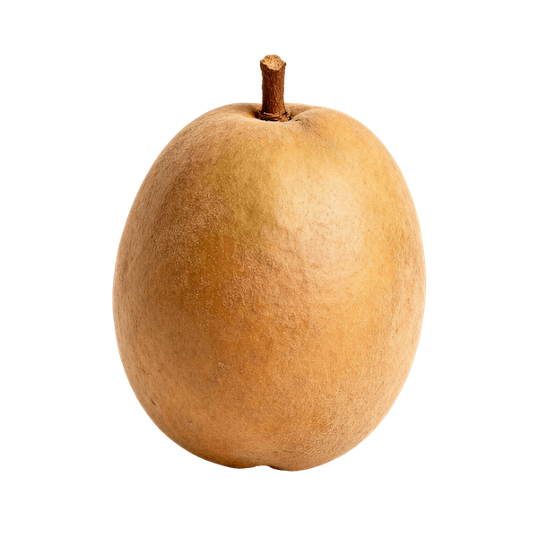 Sapodilla