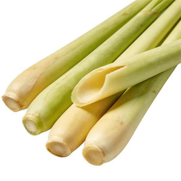 Lemongrass (Fresh, Raw)