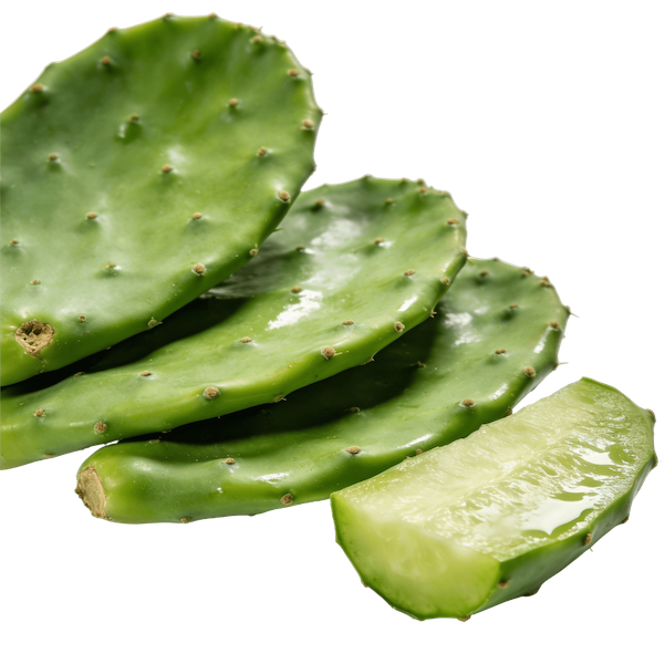 Nopal Cactus Pads (Prickly Pear Pads)