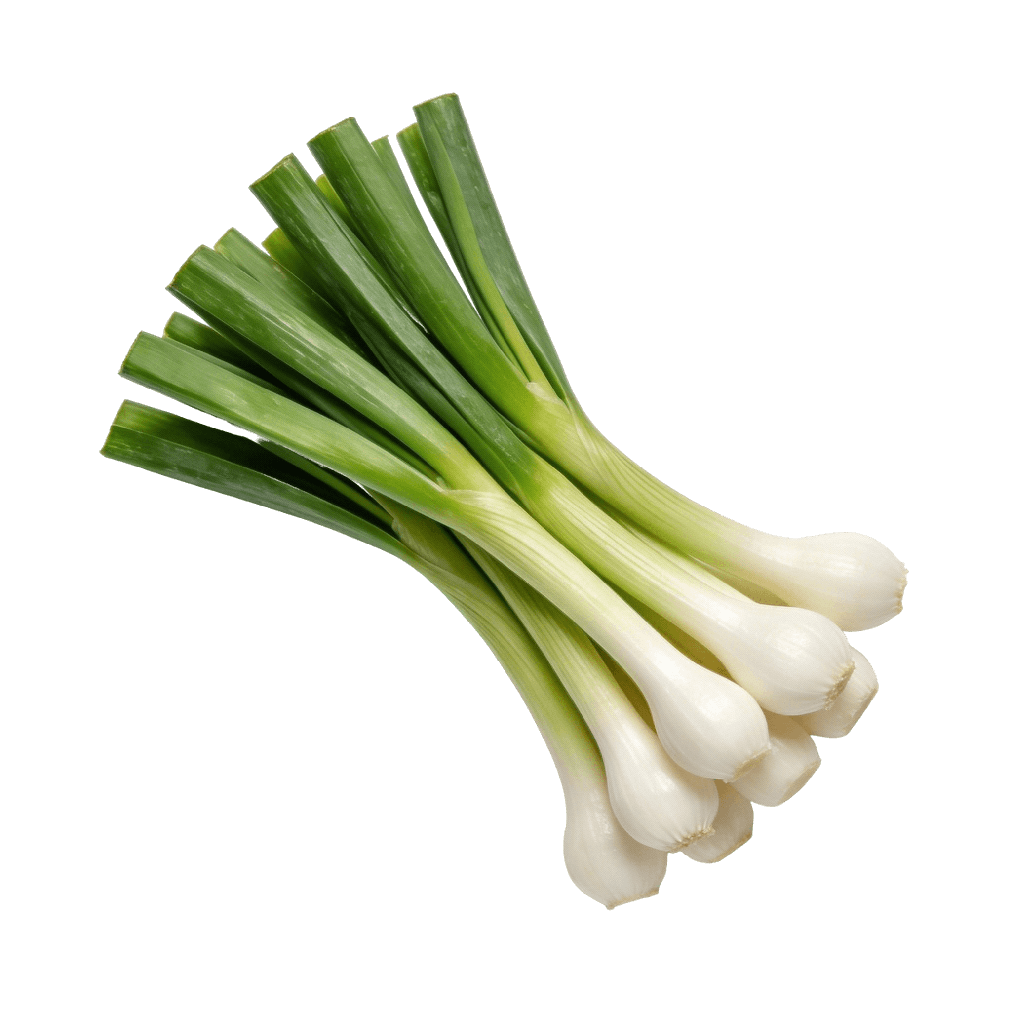 Scallions (Green Onions)