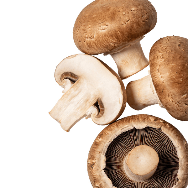 Shiitake (Raw)