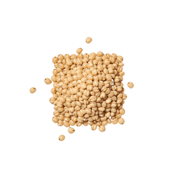 Sorghum (Cooked, Whole Grain)