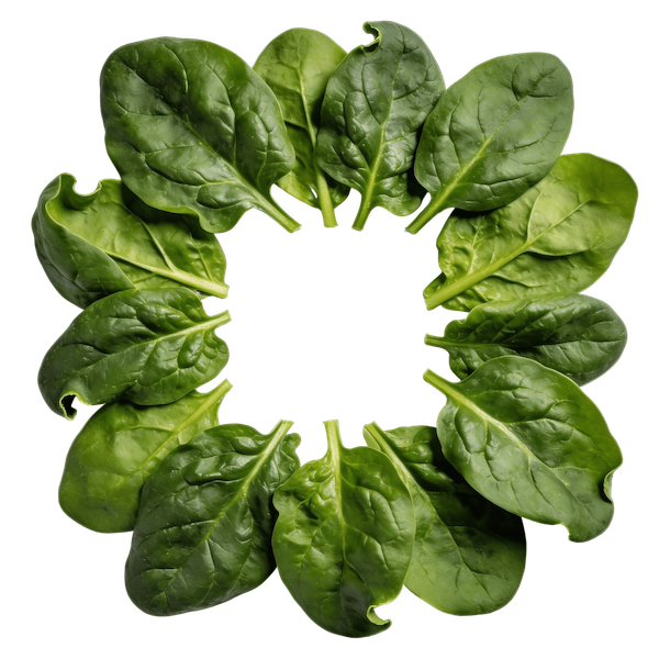 Spinach