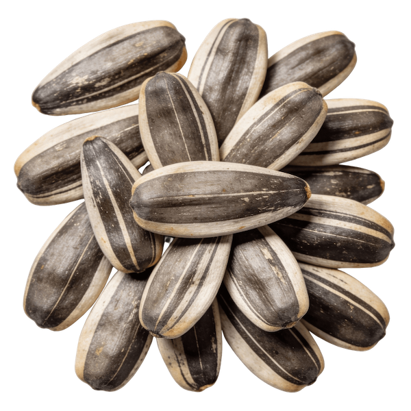 Sunflower Seeds (Kernels, Dried)