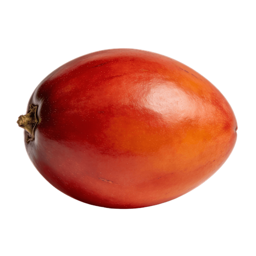 Tamarillo (Tree Tomato)