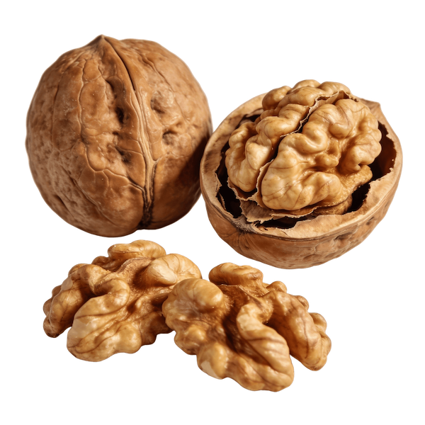 Walnut (English/Persian), Raw