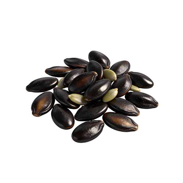 Watermelon Seeds (Dried, Raw Kernels)