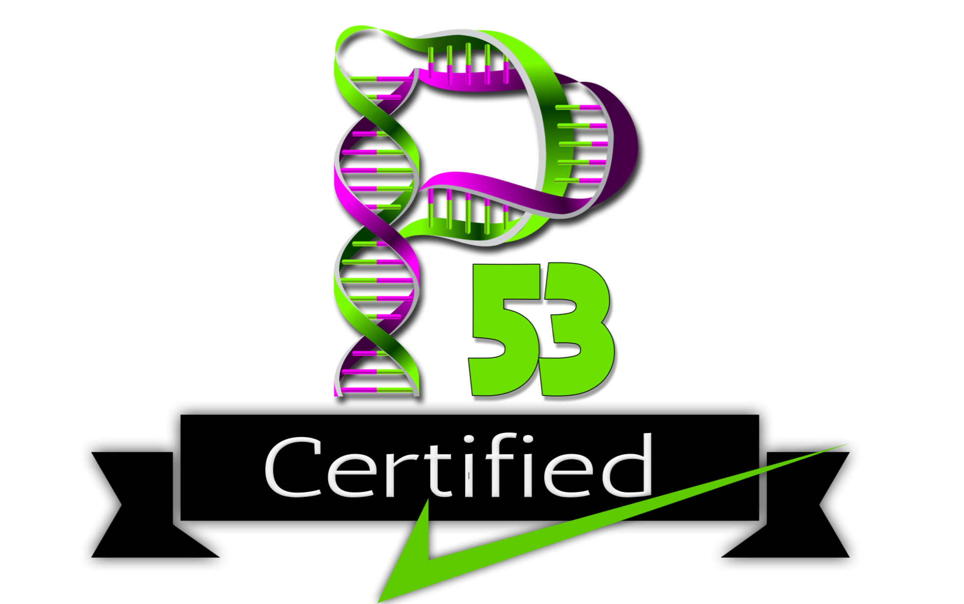 P53 Certified