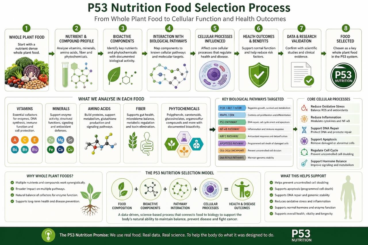 P53 Nutrition Food Selection Process