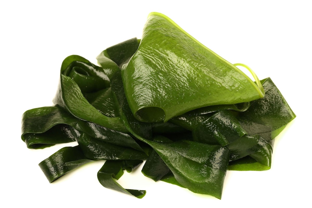 Seaweed (Wakame / Sea Mustard)